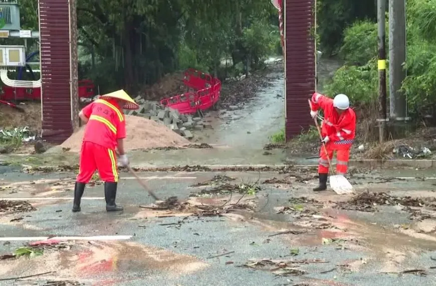 台风“红霞”过境|中鑫航全力清障保洁,迅速恢复揭西县城区市容环境